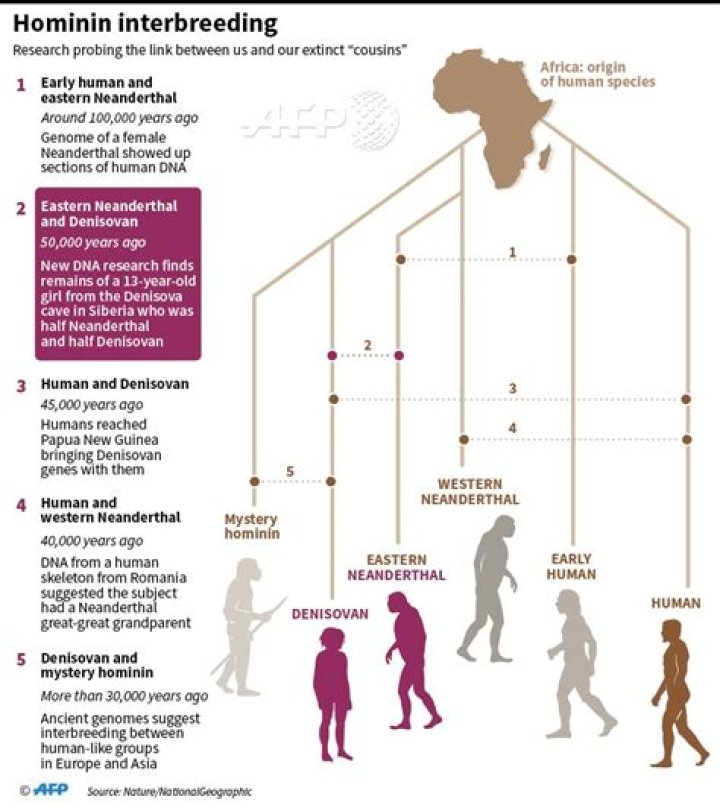 What species did humans interbreed with?