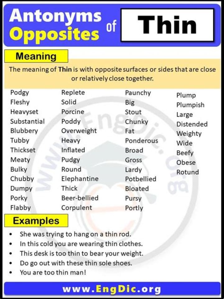 What T is the opposite of thin?