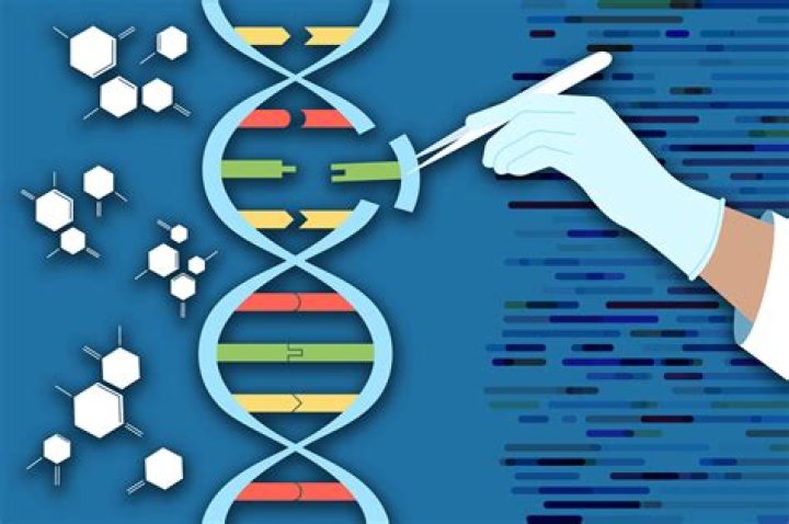 What things alter your DNA?