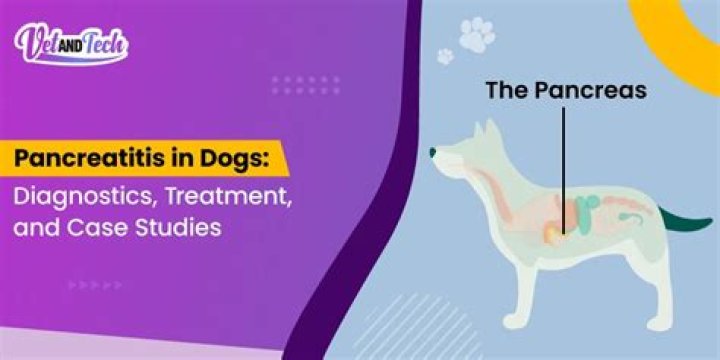 What toxins cause pancreatitis in dogs?