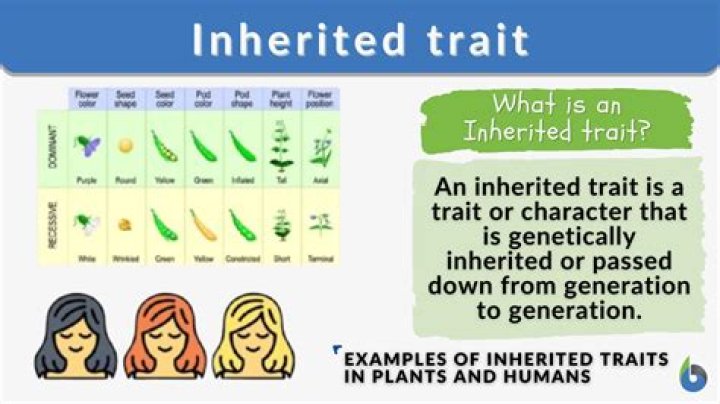 What traits are inherited from mother only?