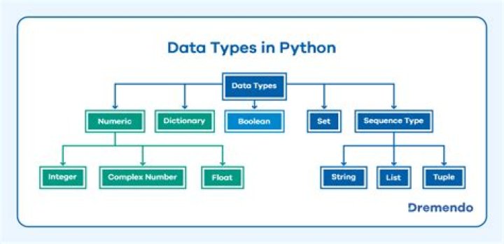What type of language is Python?
