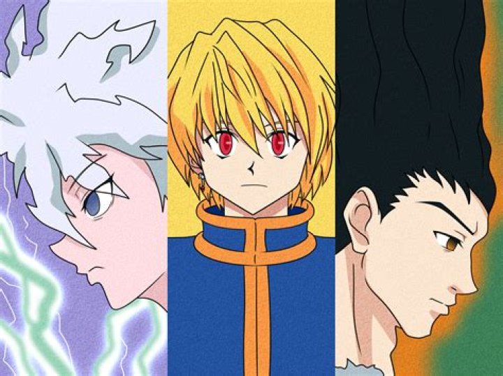 What type of Nen user is Ging?