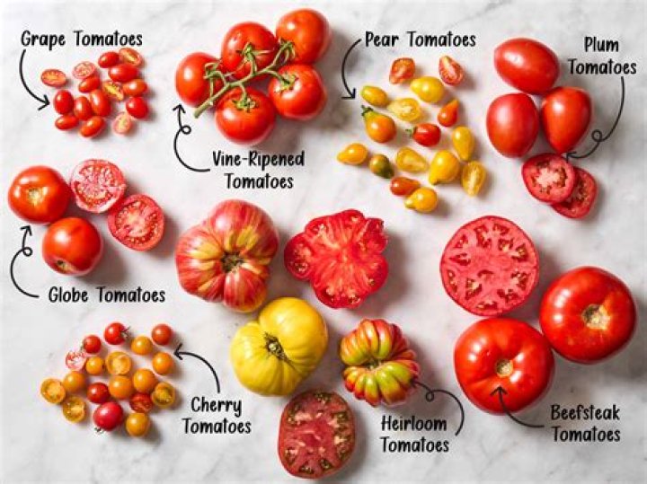 What type of tomato is a truss tomato?