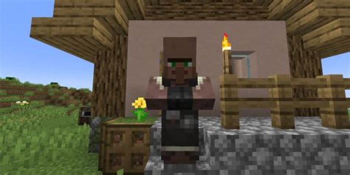 What villager buys sticks?