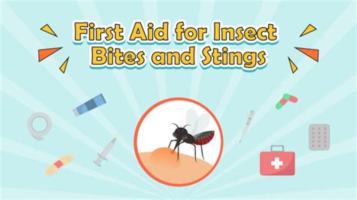What Vitamin stops insect bites?