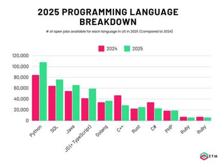 What will be the best programming language in 2030?