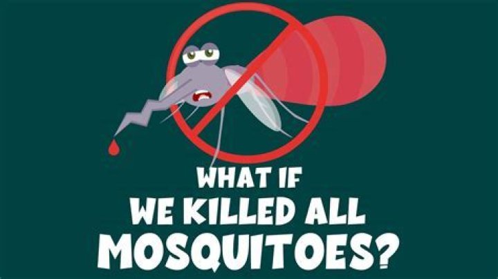 What would happen if we killed all fleas?