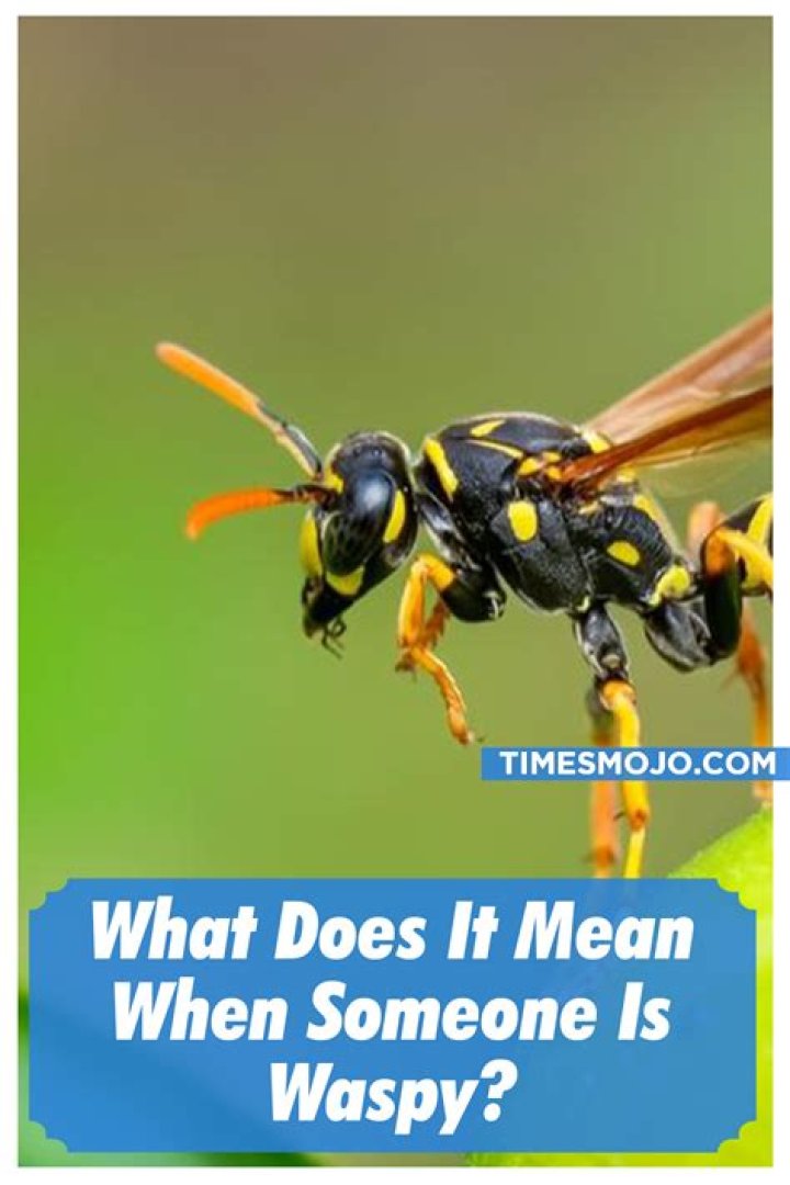 Whats does WAP stand for?