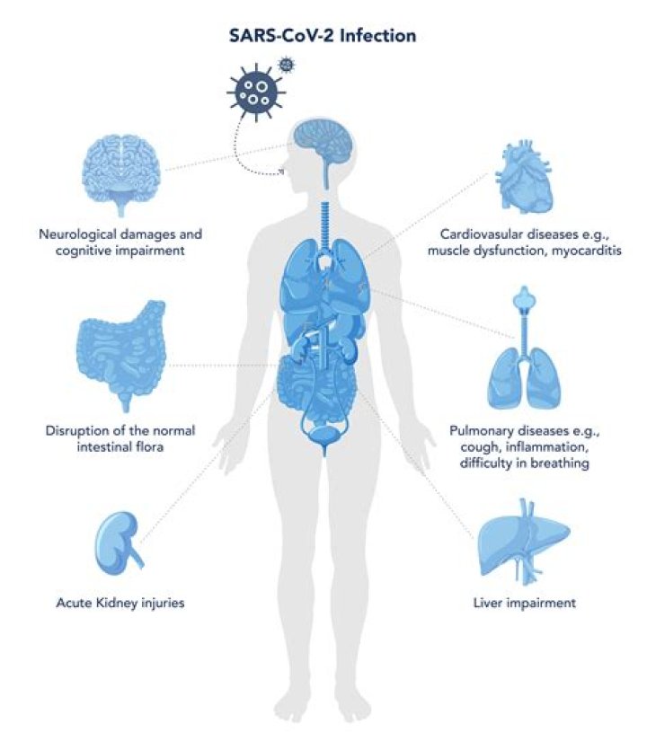 When can someone infected with COVID-19 start spreading the virus?