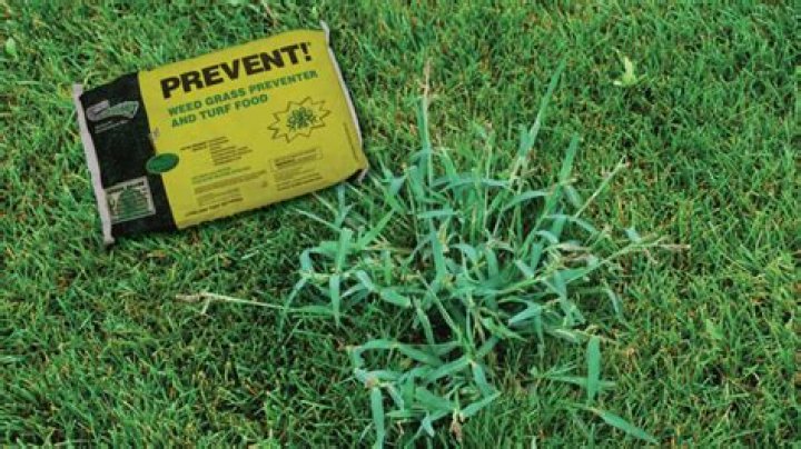 When should crabgrass preventer be applied?