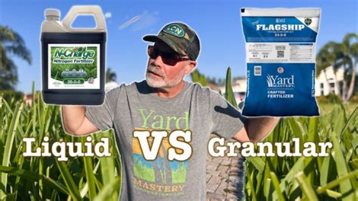 When should I put nitrogen on my lawn?