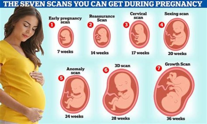 When should I start putting oil on my pregnant belly?