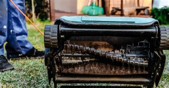 When should you dethatch your lawn?