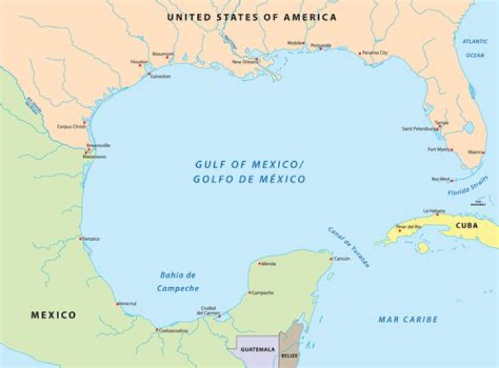 Where can I find mahi in the Gulf of Mexico?