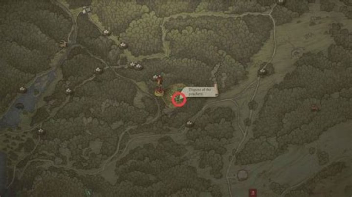 Where do I take the poachers saw?