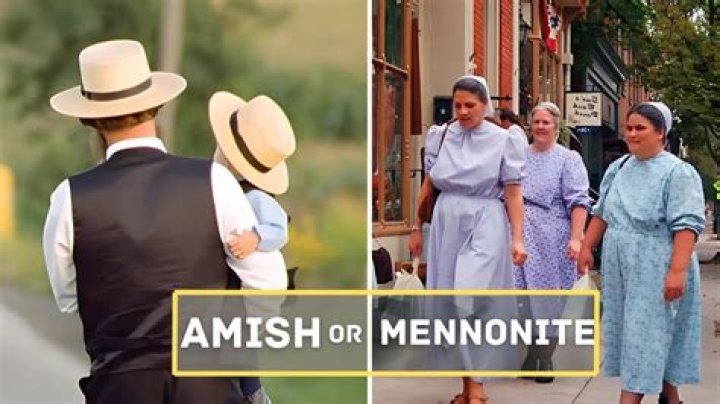 Where do Mennonites get their money?