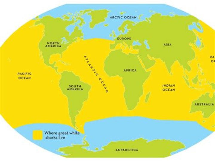 Where in the world are there no tornadoes?