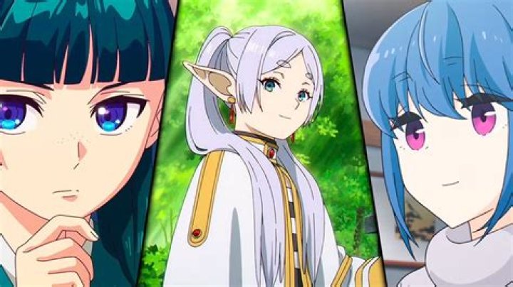 Which anime has the most seasons?