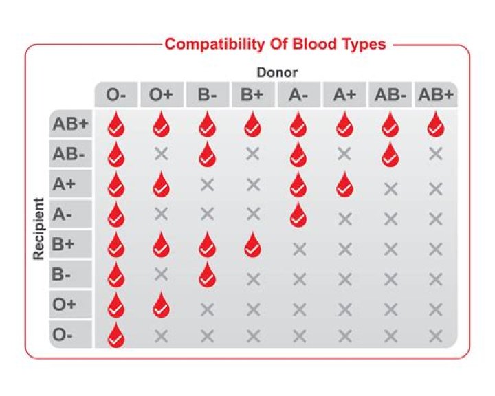 Which are the characteristics of type O blood?