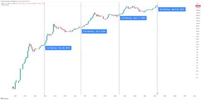 Which crypto is the next Bitcoin 2022?
