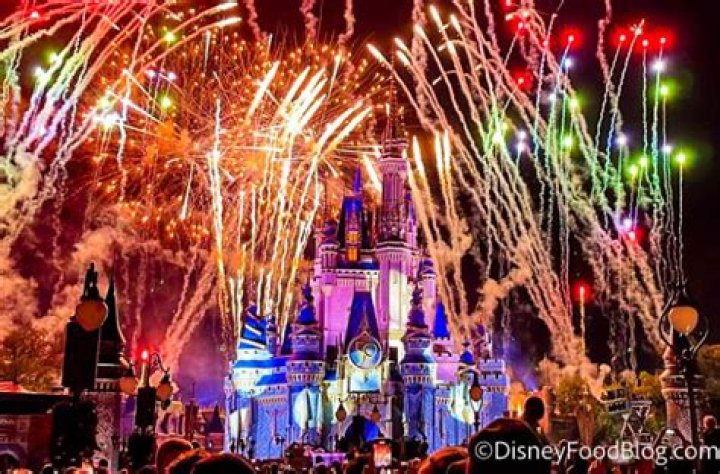 Which Disney park has fireworks at night?