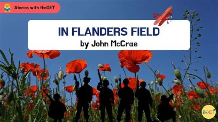 Which field is best for money?