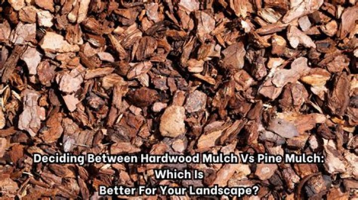 Which is better mulch or wood chips?