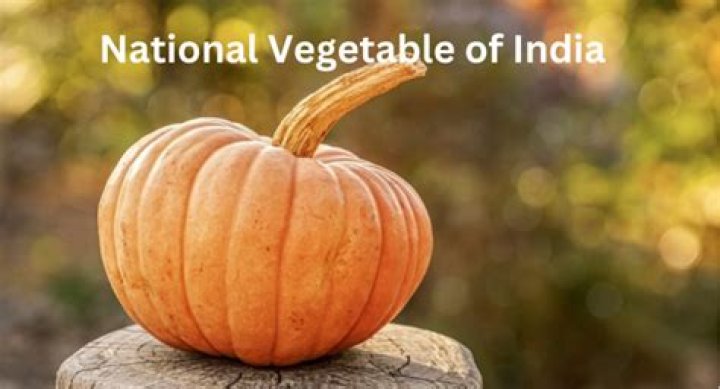 Which is the national vegetable?