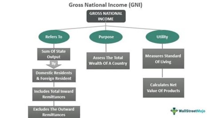 Which of the following explains a limitation of using gross national income GNI per capita as the only measure of a country's level of development?