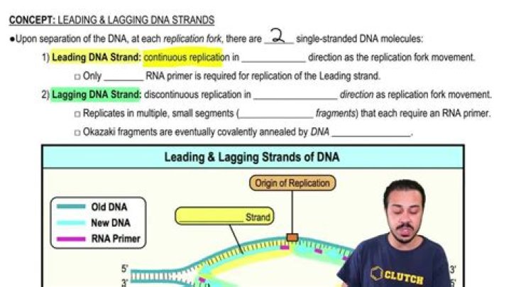 Which of the following statements correctly describe the difference between the leading strand and the lagging strand in DNA replication?