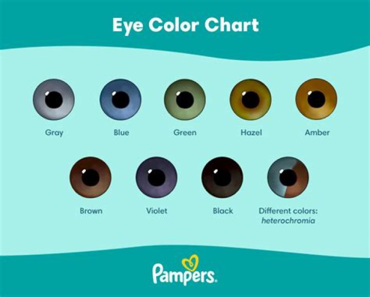 Which parent do babies get eye color from?