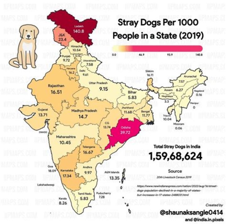Which states love dogs most?