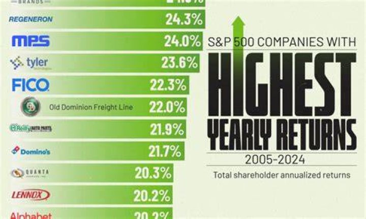Which stock gives highest return in 2021?
