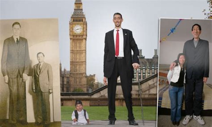 Who's the tallest person in Baki?