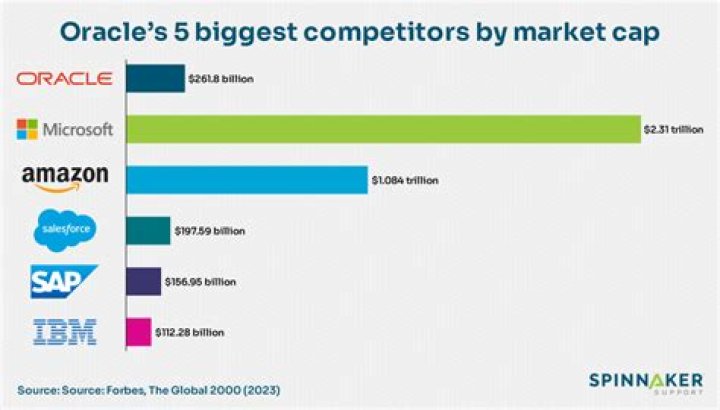 Who are Oracle's biggest customers?