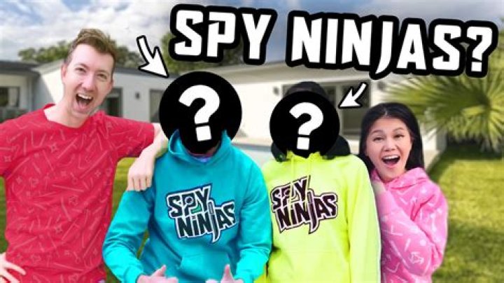 Who did ninjas work?