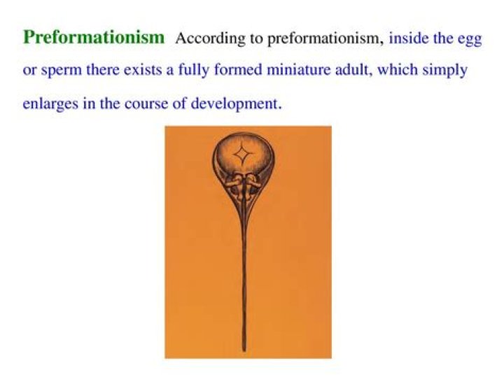Who disproved preformationism?