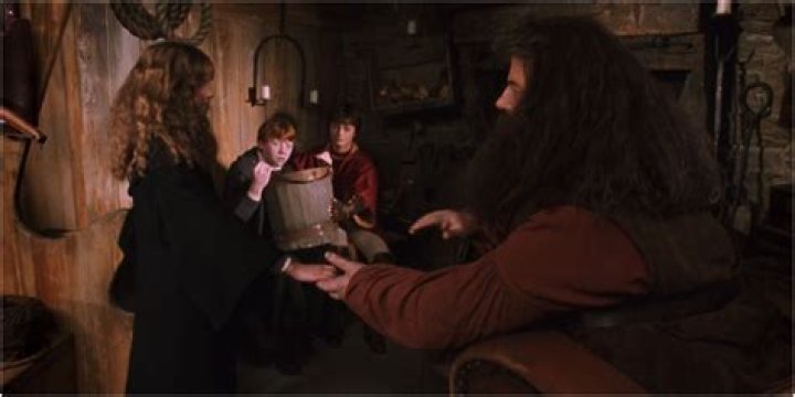 Who got petrified in the Chamber of Secrets?