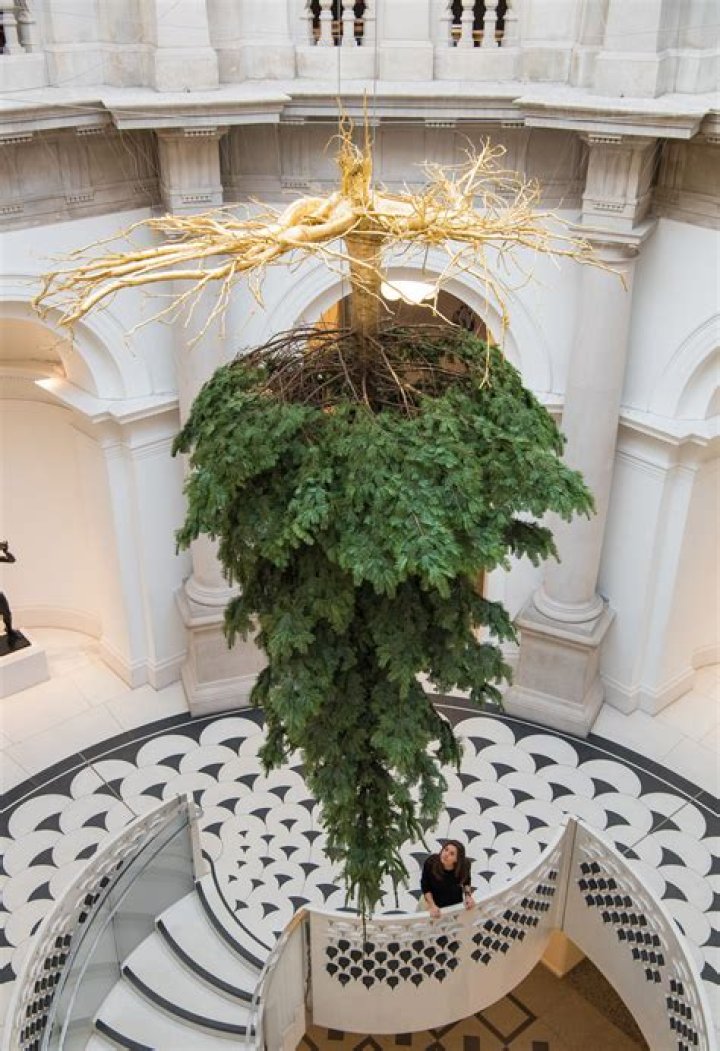 Who hung Christmas trees upside down?
