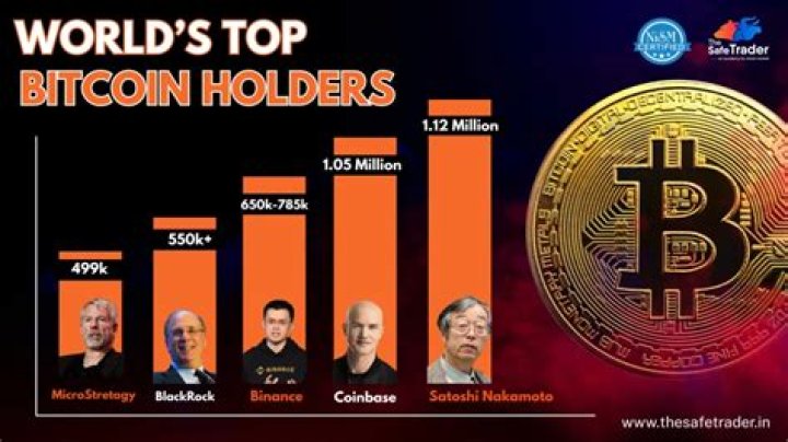 Who is the biggest holder of Bitcoin?