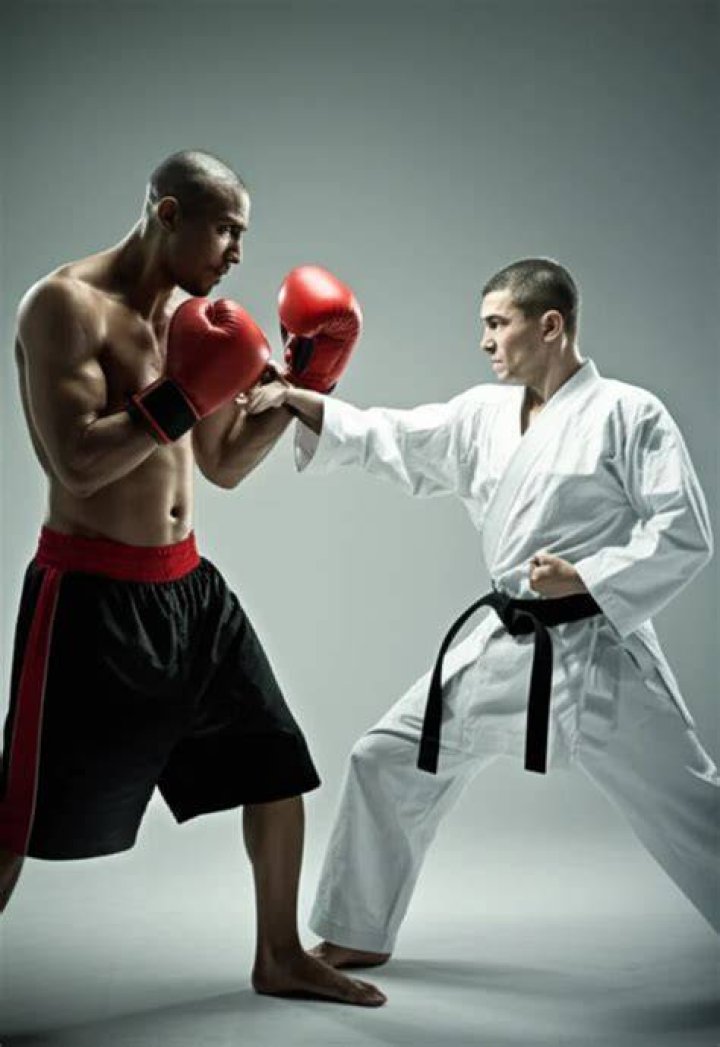 Who is the father of martial arts?