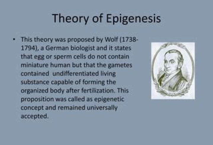 Who is the founder of the theory of epigenesis?