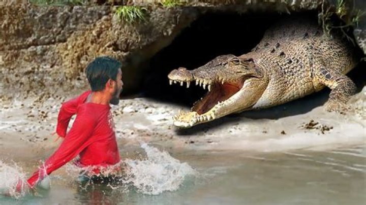 Who replaced Crocodile as a warlord?