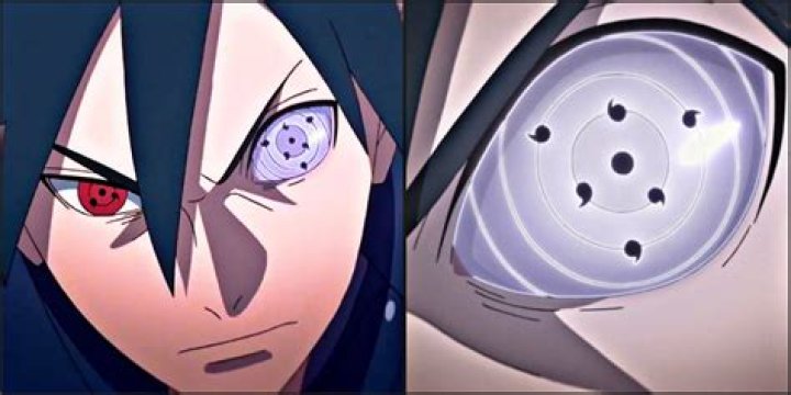 Who took Sasuke's Rinnegan?