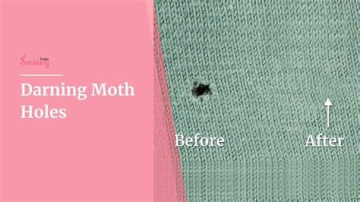 Why am I getting small holes in my clothes?