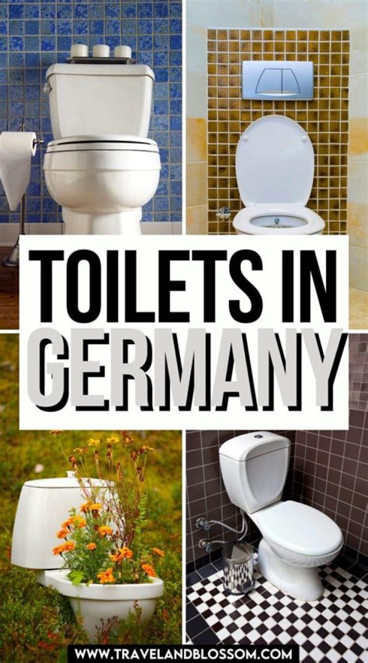 Why are German toilets the way they are?