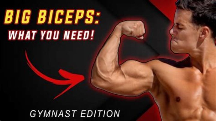 Why are gymnast biceps so big?