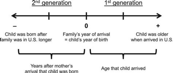 Why are second borns taller?