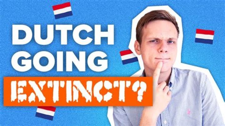 Why are the Dutch so good at English?